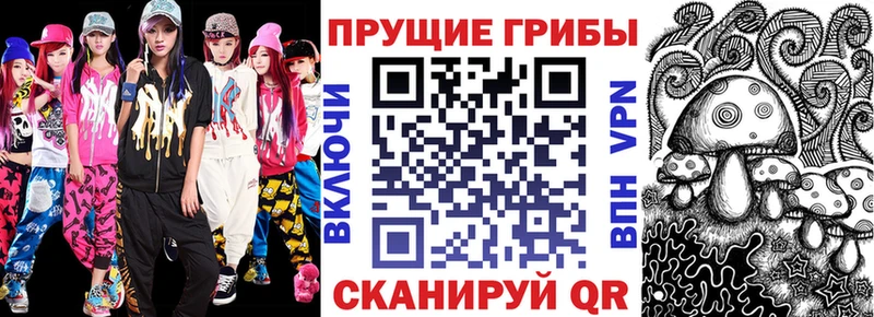 Галлюциногенные грибы Psilocybine cubensis Кольчугино