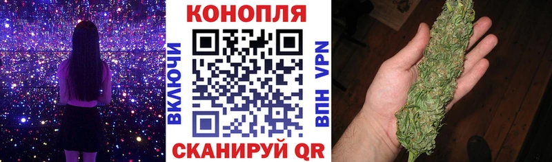 Купить где  Кольчугино  Бошки Шишки ГИДРОПОН 